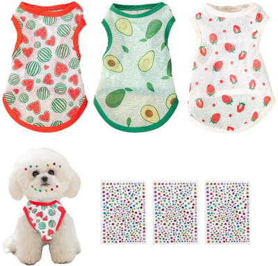 Dailygoods- Hondenshirt Ademend - Mouwloos Vest - Hondenkleding Kleine Hond - 3-delig - Strass-Stickers - Geschikt voor Chihuahua's en Poedels