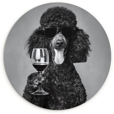 WallCircle® Wandcirkel 120x120 cm - Muurcirkel Hond - Krullen - Zonnebril - Wijn - Muurdecoratie woonkamer - Wanddecoratie slaapkamer - Kamer decoratie accessoires - Ronde schilderijen XXL