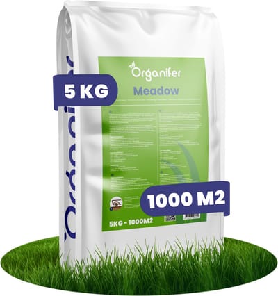 Weide Graszaad Meadow - Speciaal voor Paarden en Kleinvee (5kg, 1000m2) - Graszaad Weide - Graszaad Weidemengsel - Schapengras - Weidegraszaad - Paarden Graszaad - Organifer