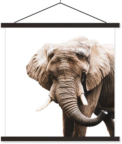 Posterhanger incl. Poster 90x90 cm - Schoolplaat - Olifant - Dieren - Wit - Textielposter - Zwarte latten