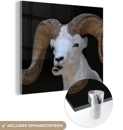 MuchoWow® Glasschilderij 50x50 cm - Schilderij acrylglas - Bok - Dieren - Hoorn - Foto op glas - Schilderijen