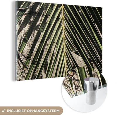 MuchoWow® Glasschilderij 150x100 cm - Schilderij acrylglas - Palmblad - Tropisch - Zomer - Foto op glas - Schilderijen