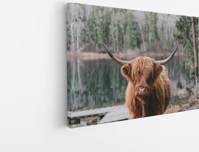Saammp Canvas Schilderij - Schotse Hooglander Koe bij zonsopgang in herfstachtig bos - Dieren - Natuur - 45x30 - Foto op canvas - Wanddecoratie - muurdecoratie Woonkamer - Slaapkamer decoratie - Canvas Print