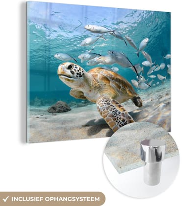 MuchoWow® Glasschilderij 160x120 cm - Schilderij acrylglas - Schildpad - Vis - Zee - Foto op glas - Muurdecoratie woonkamer - Wanddecoratie slaapkamer - Schilderijen