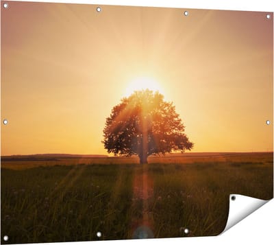 Gards Tuinposter Zonsondergang Achter een Grote Boom - 120x90 cm - Tuindoek - Tuindecoratie - Wanddecoratie buiten - Tuinschilderij