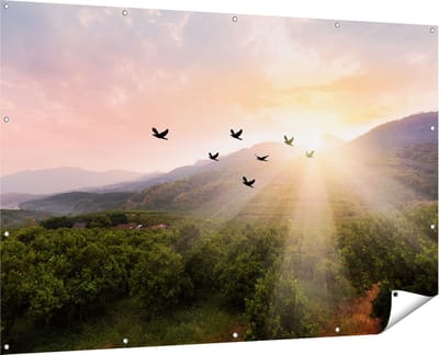 Gards Tuinposter Silhouet Zwerm Vogels bij Zonsondergang - 180x120 cm - Tuindoek - Tuindecoratie - Wanddecoratie buiten - Tuinschilderij