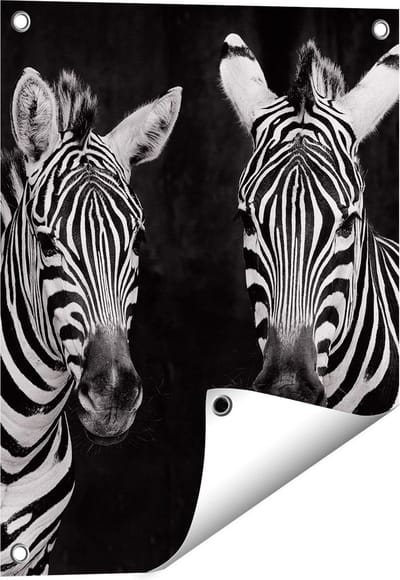 Gards Tuinposter Twee Zebra's - Zwart Wit - 40x50 cm - Tuindoek - Tuindecoratie - Wanddecoratie buiten - Tuinschilderij