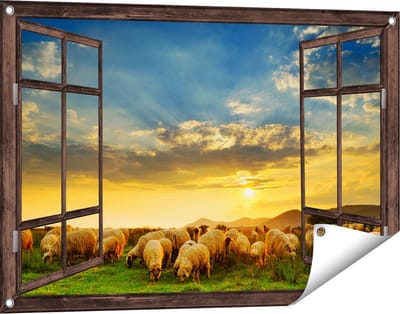Gards Tuinposter Doorkijk Kudde Schapen op het Gras bij Zonsondergang - 90x60 cm - Tuindoek - Tuindecoratie - Wanddecoratie buiten - Tuinschilderij