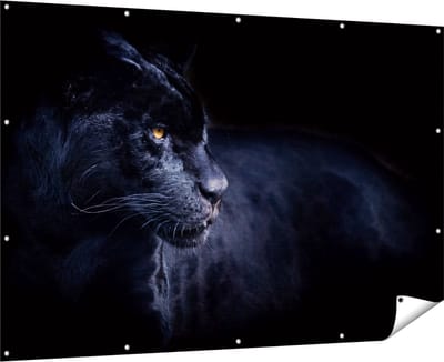 Gards Tuinposter Zwarte Panter - 180x120 cm - Tuindoek - Tuindecoratie - Wanddecoratie buiten - Tuinschilderij