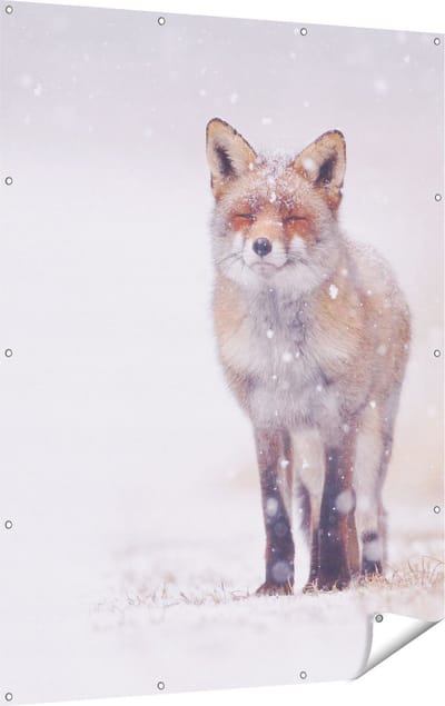 Gards Tuinposter Vos in de Sneeuw - 120x160 cm - Tuindoek - Tuindecoratie - Wanddecoratie buiten - Tuinschilderij