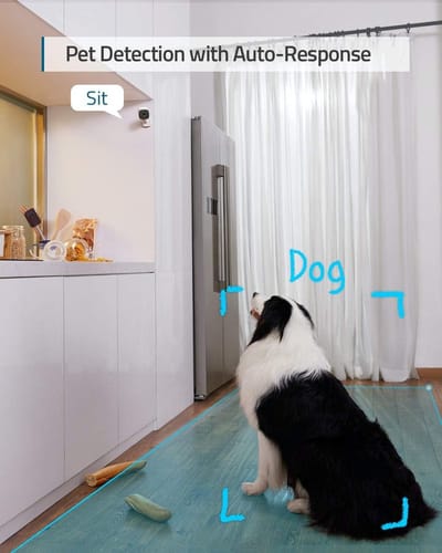 Beveiligingscamera Indoor Cam C120 persoonsherkenning stemassistent bewegingssensor nachtzicht MicroSD-geheugenkaart intern