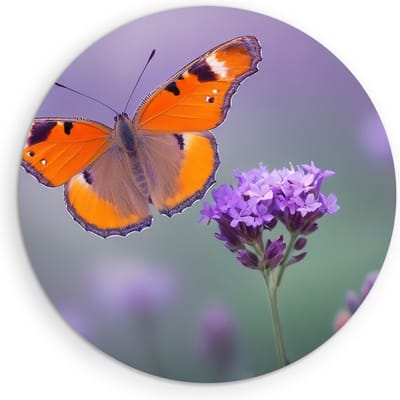Saammp Muurcirkel Hout -Vlinder op paarse bloem - Dieren - Natuur - Ø 90 - Wandcirkel - Wanddecoratie Cirkel - muurdecoratie Woonkamer - Slaapkamer decoratie - Rond Schilderij