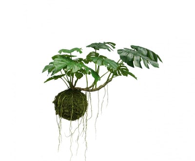 Silk-ka kunstplant-hangplant-Monstera-hangkunstplant-groot
