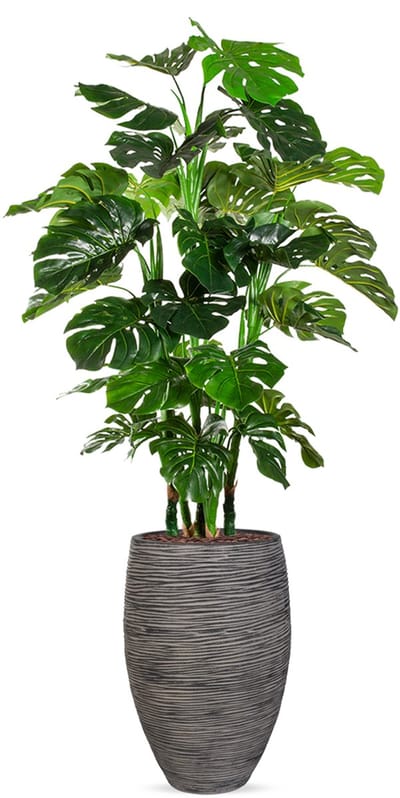 Kunstplant Monstera XL in Vaas elegant Deluxe rib antraciet H180 cm