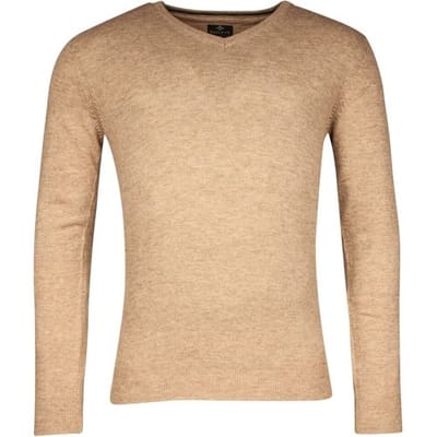 Baileys Trui V-Neck Uni Color Lambswool Beige / male