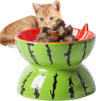 Daity 1 Pack - Keramische kattenbak - gekantelde kattenbak - voerbak met fruitmotief - dierenbenodigdheden - anti-terugstroombak - kom met drukverlichting
