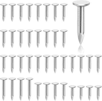 Dakbedekking Spijkers - Dakvilt Pinnen - Dak Reparatie - Verzinkt Staal - 25 mm - Zilver
