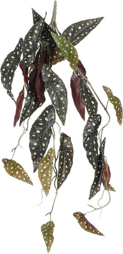 Kunstplant Begonia Maculata Hangplant Donker Groen - Steker L80 cm - Mica Decorations
