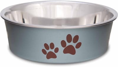 Metalen Huisdierenkom - Voerbak Hond - Huisdieren Voeden - Bacteriebestendig RVS - Kleine Maat - Blauwgroen