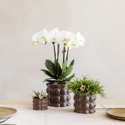 Kolibri Home | Cotton sierpot - Brown - Ø12cm