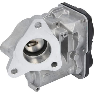 EGR-klep DELPHI EG10557-12B1