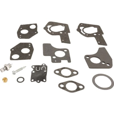 Briggs & stratton carburateur reparaties