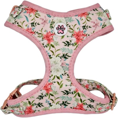 Hondentuigje - Zacht Tuigje / Honden Harnas - Roze - Bloemen - Rozen - You are Llamazing - Paw My God! - Maat XS