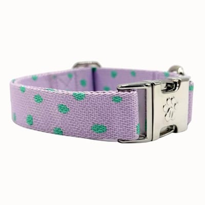 Polkadot - Halsband Hond - XS - 22 / 36 cm - Puppy halsband - kleine hond