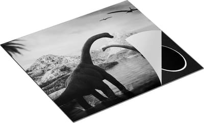 Chefcare Inductie Beschermer Dinosauriërs in het Water - Dino's - Zwart Wit - 60x50 cm - Afdekplaat Inductie - Kookplaat Beschermer - Inductie Mat