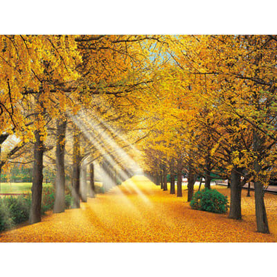 Broderie Diamant 5D DIY Diamants Ronds Complets Gold Road Peinture Diamant Point de Croix Strass 20X30CM yellow