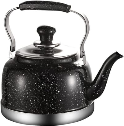 Warmwaterkoker - Theeketel RVS - Thee Zetten - Met Fluitje - 2 Liter - Zwart
