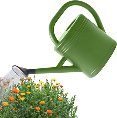 Binnen Gieter - Waterfles Planten - Planten Water Geven - Lange Precisie Uitloop - 3 Liter Inhoud