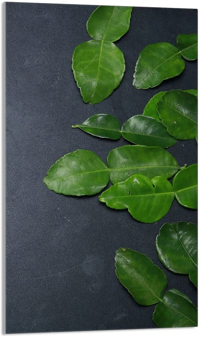 TMK ArtDeko - Snijplank - 30x52 cm - Glas - Veilige Kookplaatbescherming