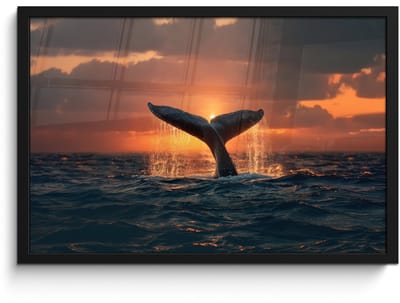 Poster in lijst - Fotolijst 60x40 cm - Posters - Walvis staart - Water - Zonsondergang - Posterlijst zwart - Decoratie - Wanddecoratie woonkamer - Muurdecoratie slaapkamer