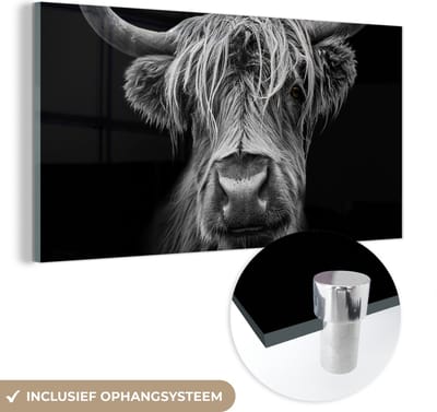 Glasschilderij Schotse hooglander - Koe - Zwart wit - Hoorns - Portret - Slaapkamer decoratie - Wanddecoratie glas - 40x20 cm - Foto op glas - Woonkamer