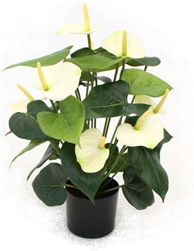 Anthurium deluxe kunstplant 50cm - creme