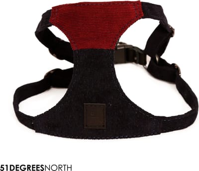 51 Degrees North Milano Hondentuigje - Corduroy - Blauw-Bordeauxrood - M - Borstomtrek 48 - 66 cm