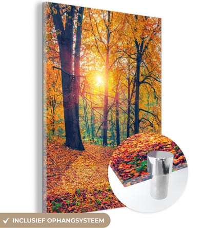 MuchoWow® Glasschilderij 30x40 cm - Schilderij acrylglas - Bomen - Herfst - Bos - Herfstbladeren - Foto op glas - Schilderijen