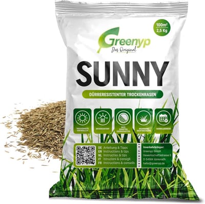 Dailygoods- Graszaad Snelkiemend - 2,5 kg voor 100 m² - Droogtebestendig - Onderhoudsvriendelijk - Dicht groeiend - Geschikt voor schaduw - Gazonzaad