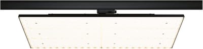 Paulmann 96583 ProRail3 LED-paneelverlichting 7000lm 75W 4000K 230V Zwart railsysteem