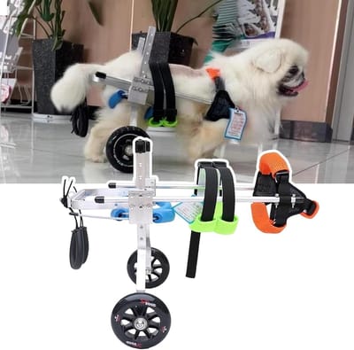 Hondenrolstoel - Hulp voor honden - Mobiliteit verbeteren - Verstelbaar ontwerp - Voor kleine honden - Zilver