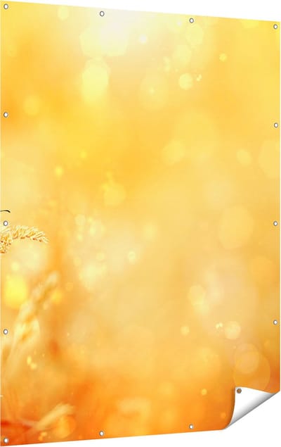 Gards Tuinposter Oranje Vlinder in het Oranje Veld - 120x160 cm - Tuindoek - Tuindecoratie - Wanddecoratie buiten - Tuinschilderij