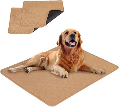 Wasbare honden plasmat – 60x45 cm – Superabsorberend – Herbruikbaar – Hygiënemat voor katten & honden – Trainingsmat voor puppy's - Plasmatjes voor honden - hondentoiletten – Geschikt voor konijnen, hamsters, puppy's en diverse kleine dieren – Khaki