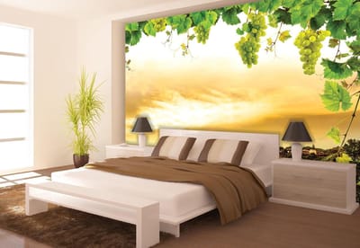 Sunset Grapes Grape Vine Nature Photo Wallcovering