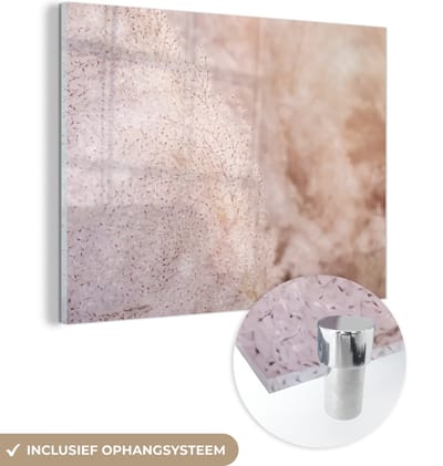 MuchoWow® Glasschilderij 40x30 cm - Schilderij acrylglas - Pampasgras - Structuur - Planten - Natuur - Foto op glas - Schilderijen