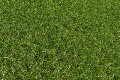 Kunstgras 2 x 7 meter - 30mm - Nederlandse Productie - Uitgeroepen zachtste Grastapijt | Waterdoorlatend | Tuin | Kind | Dier