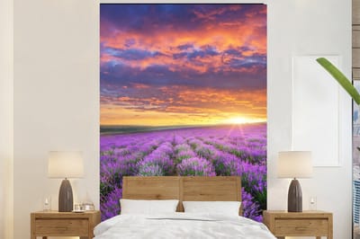 Behang - Fotobehang Lavendel - Wolken - Lente - Breedte 170 cm x hoogte 260 cm