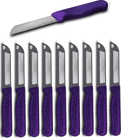 Solingen Schilmesje Robuust Handvat – RVS Glad – 18,5 cm met Blade Cover – Paars Glitter – 10 stuks