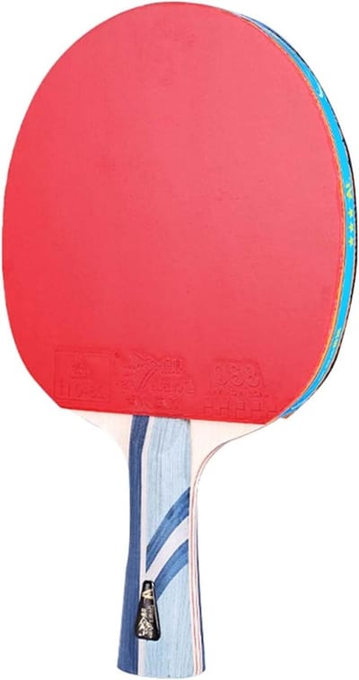 Tafeltennisbatjes - Pingpong rackets - Gezinsactiviteiten - 7-laags houten bodem - Lange handgreep - Rood
