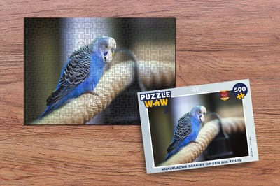 Puzzel Knalblauwe parkiet op een dik touw - Legpuzzel - Puzzel 500 stukjes